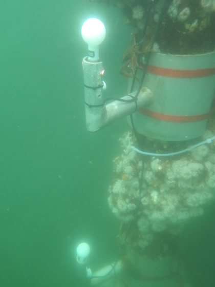 Underwater PAR Sensors